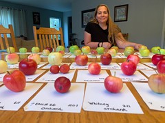 covid-apple-tasting