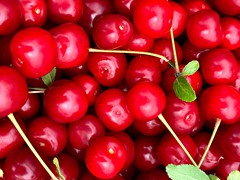 evans-pie-cherries