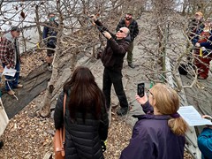 pruning-workshop
