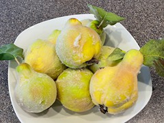 ripe-quince