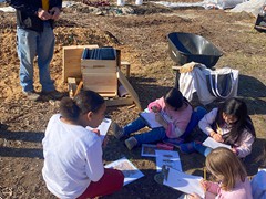school-group-learning-about-bees