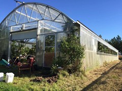 the-greenhouse